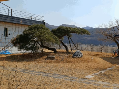 물건 사진 29