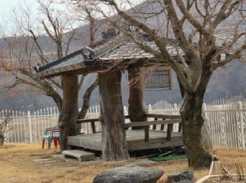 물건 사진 5