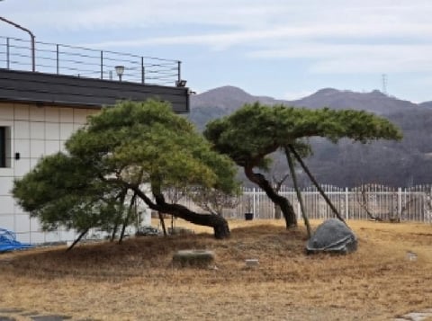 물건 사진 6