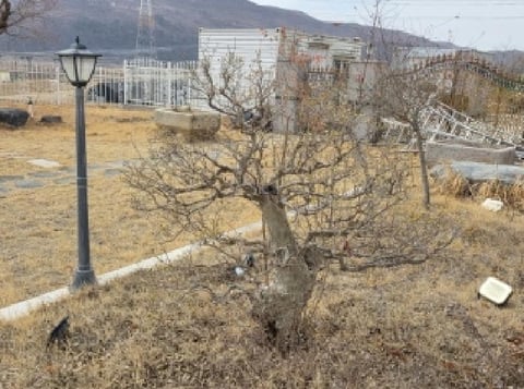 물건 사진 9
