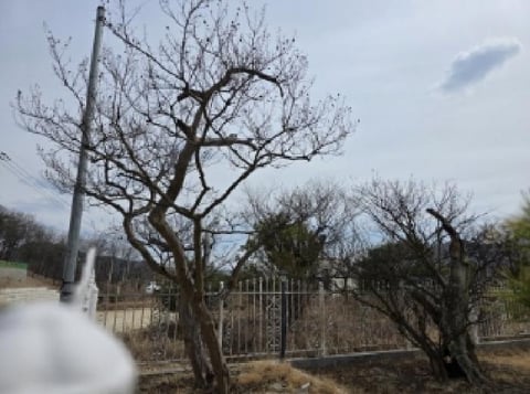 물건 사진 10