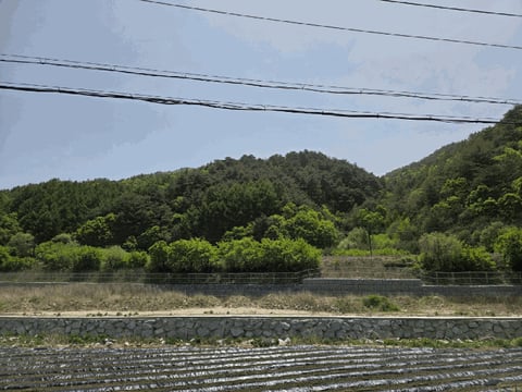 물건 사진 7