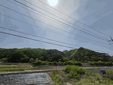 물건 사진 8