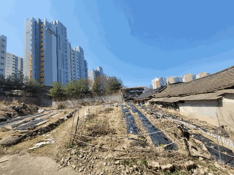 물건 사진 10