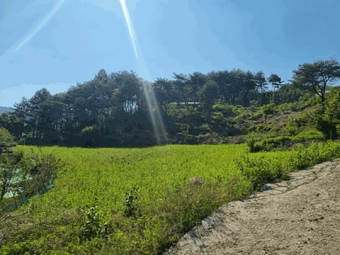 물건 사진 11