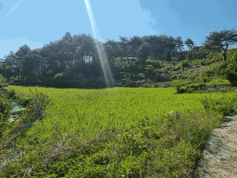 물건 사진 9