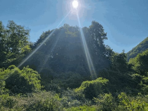 물건 사진 10