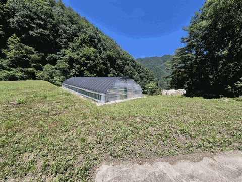 물건 사진 17