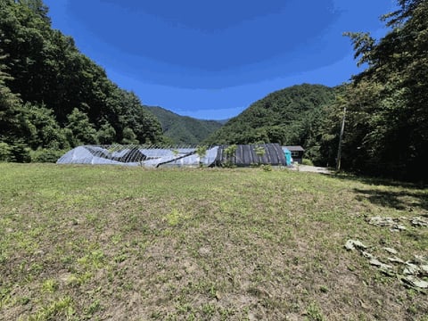물건 사진 19