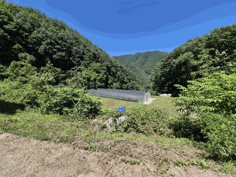 물건 사진 22
