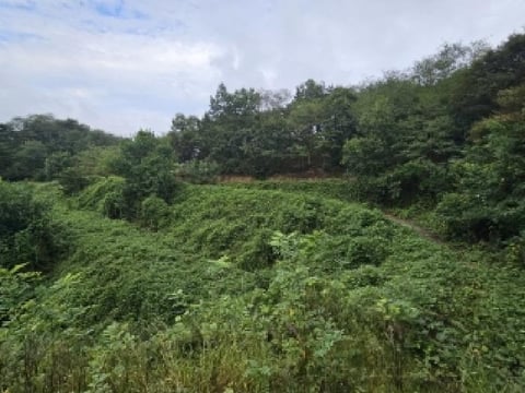 물건 사진 3