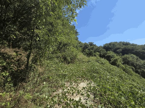물건 사진 4