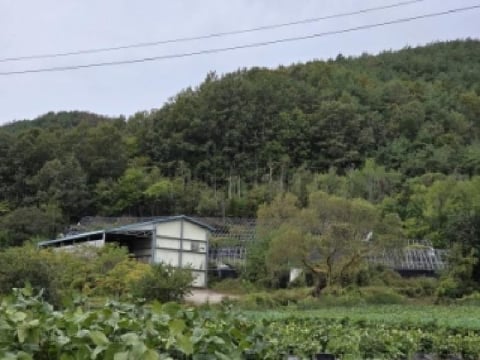 물건 사진 1