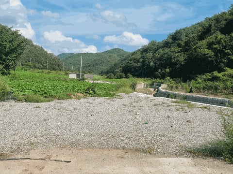 물건 사진 12