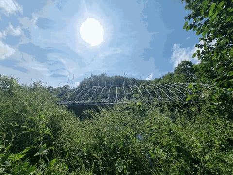 물건 사진 13