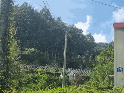 물건 사진 10