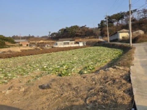 물건 사진 1