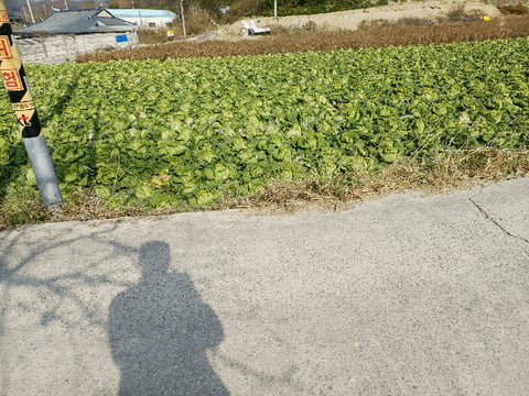 물건 사진 4