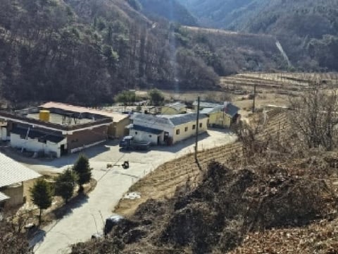 물건 사진 1