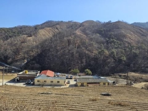 물건 사진 2