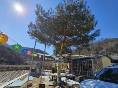물건 사진 20