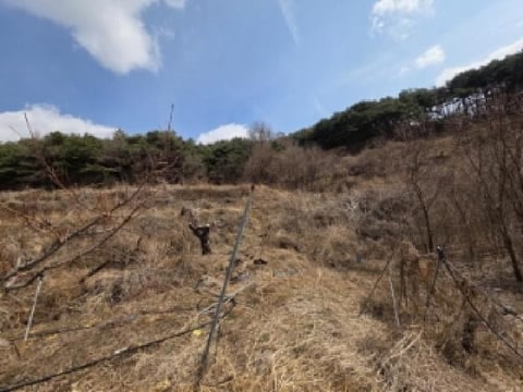 물건 사진 2
