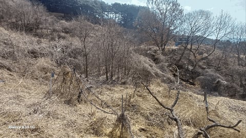물건 사진 11