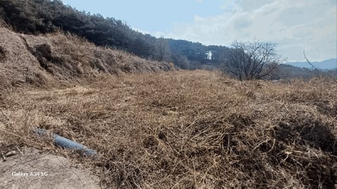 물건 사진 14