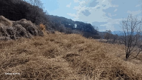 물건 사진 15