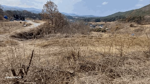 물건 사진 17