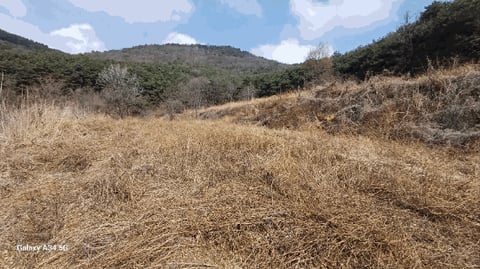 물건 사진 18