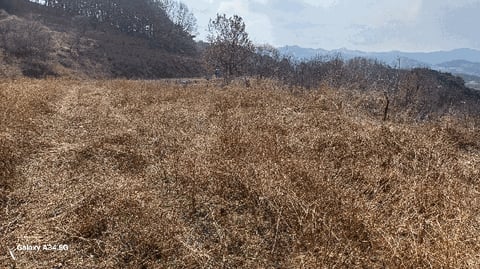 물건 사진 19