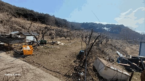 물건 사진 20