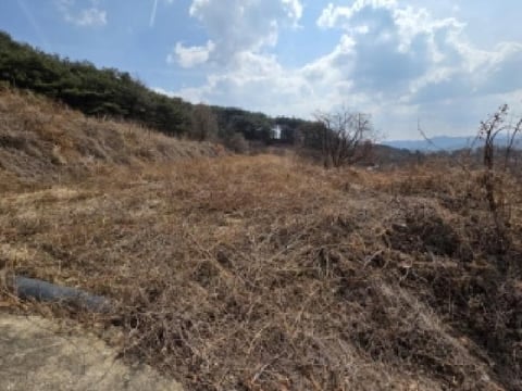 물건 사진 3