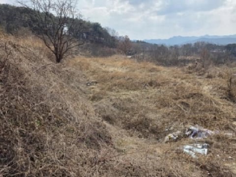 물건 사진 5
