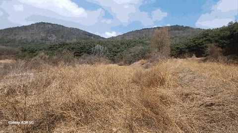 물건 사진 10