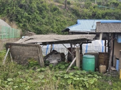 물건 사진 2