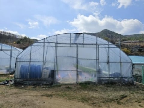 물건 사진 14