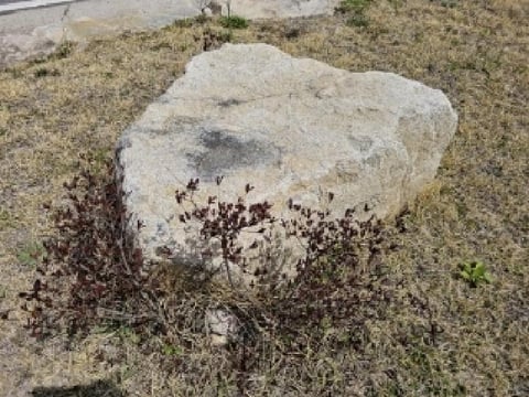 물건 사진 20