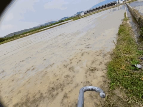 물건 사진 12