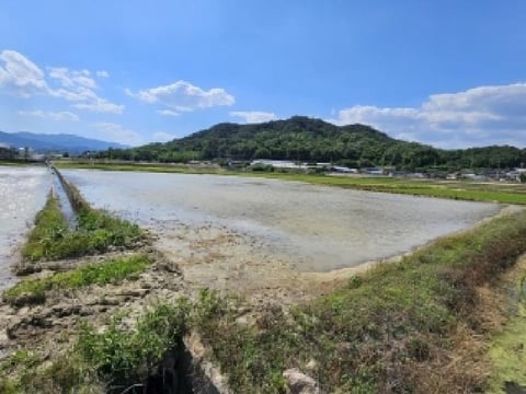 물건 사진 5