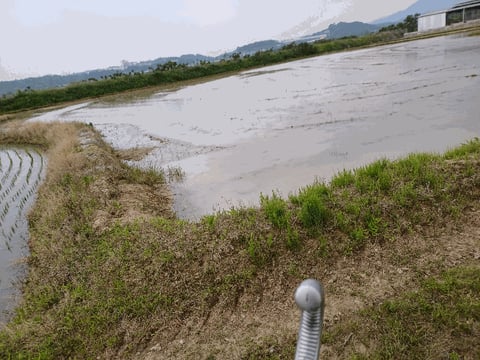 물건 사진 9