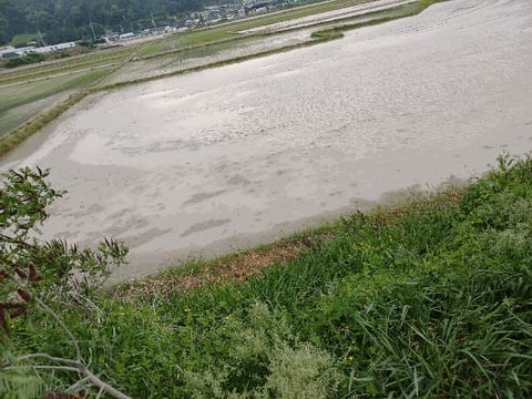 물건 사진 10