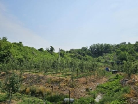 물건 사진 5