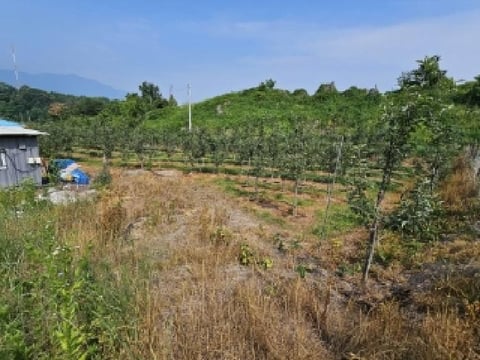 물건 사진 6