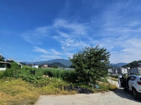 물건 사진 1