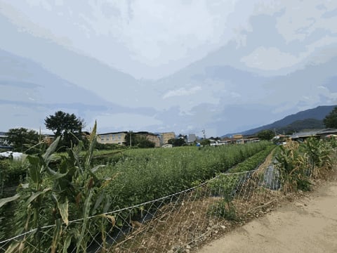 물건 사진 5