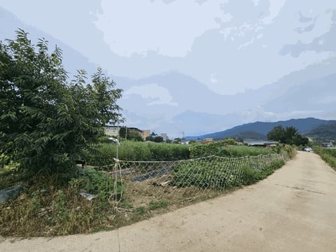 물건 사진 6