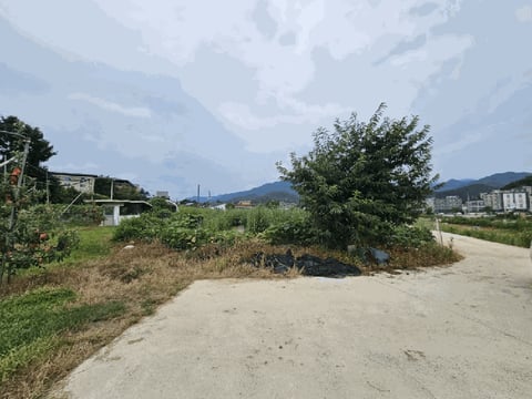 물건 사진 7