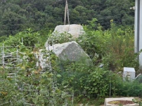 물건 사진 13